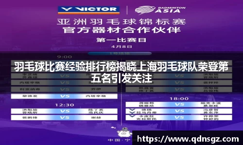 羽毛球比赛经验排行榜揭晓上海羽毛球队荣登第五名引发关注